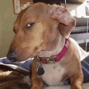 Meet your Posher, Hello